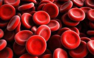 Повышен уровень эритроцитов в крови причины