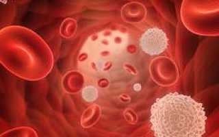 Лимфоциты в крови повышены у взрослого мужчины