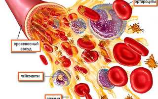 Повышенный тромбокрит в крови у женщин причины