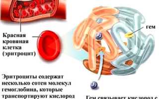 Повышенный гемоглобин в крови что это значит