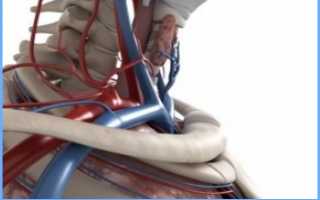 Пережатие артерии в шейном отделе позвоночника