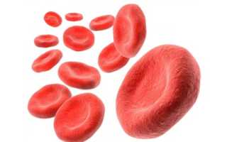 Показатели гемоглобина в крови у женщин норма