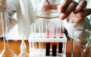 Миелоциты в анализе крови при беременности