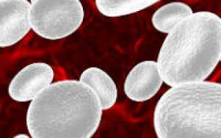 Повышенное содержание моноцитов в крови причины