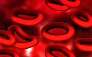 Повышенный объем эритроцитов в крови причины